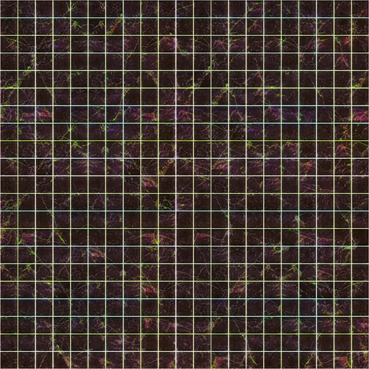Tile Mosaic_5