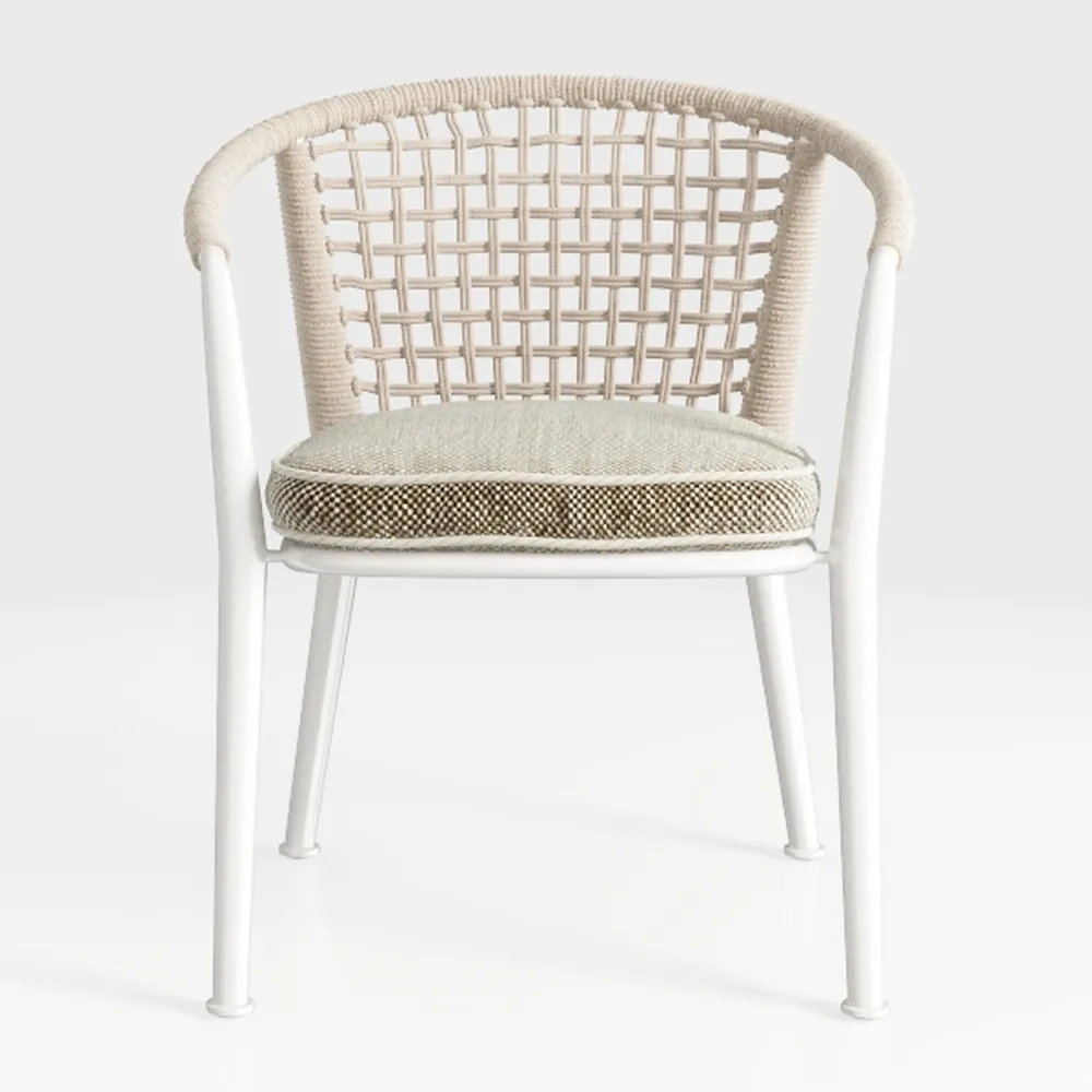 SAFAVIEH Home Collection Maluku Soft Grey Arm Chai