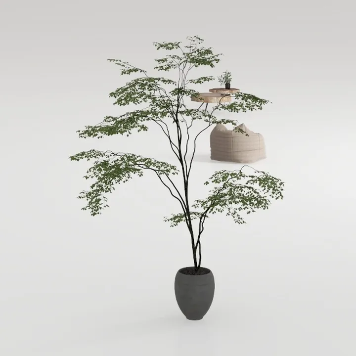Olive Trees Artificial Indoor, 6FT Tall Faux Olive