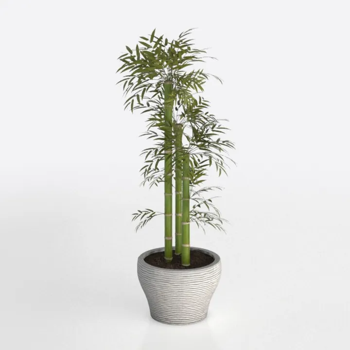 Minimalist Potted Bamboo Plant Decor 3D Model