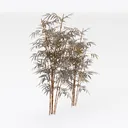 Artificial Brown Bamboo Plant Decor 3D Model Right 45 Degree View