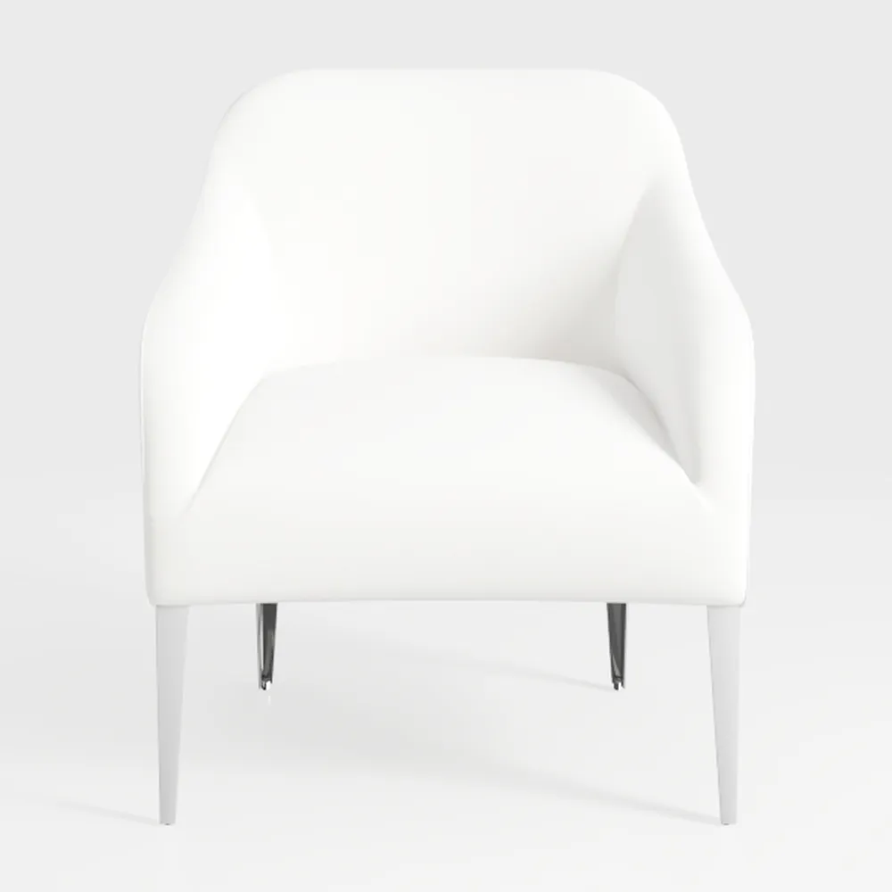 Modern Stylish Dining Chairs, Metal Frame Dining