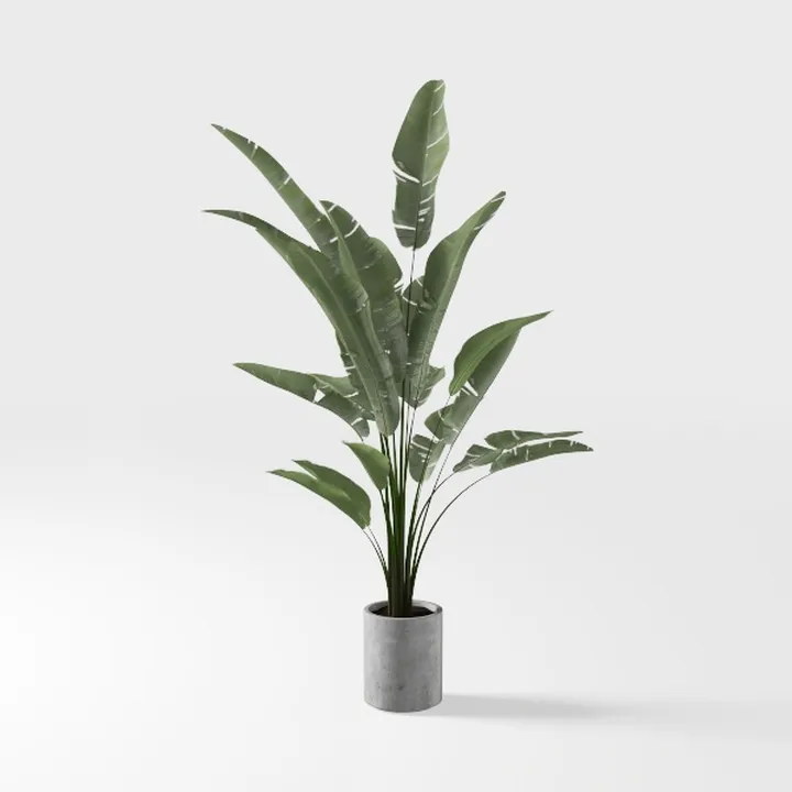 Minimalist Concrete Potted Faux Bird Of Paradise Plant 3D Model