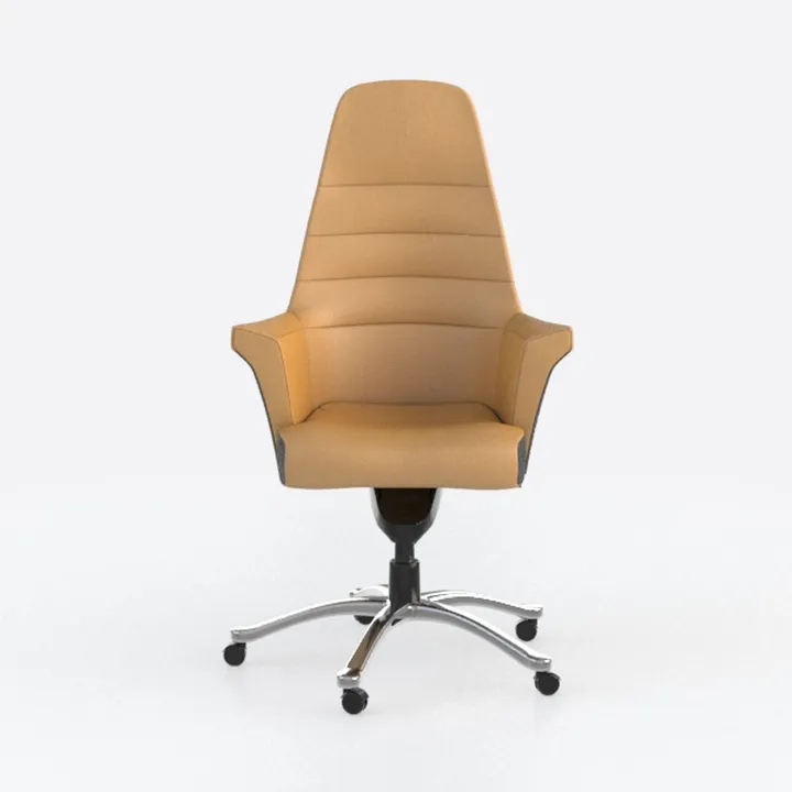 Executive Office Chair, PU Leather Boss Chair, Erg