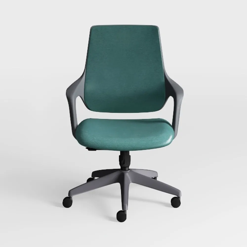 PayLessHere Home Office Chair - Adjustable