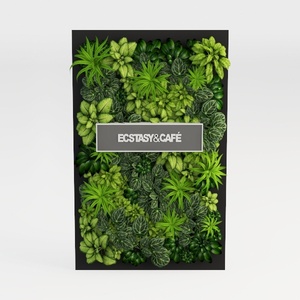 green wall-Café Deco