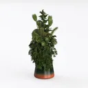 Minimalist Ceramic Potted Greenery Decor 3D Model Left 45 Degree View