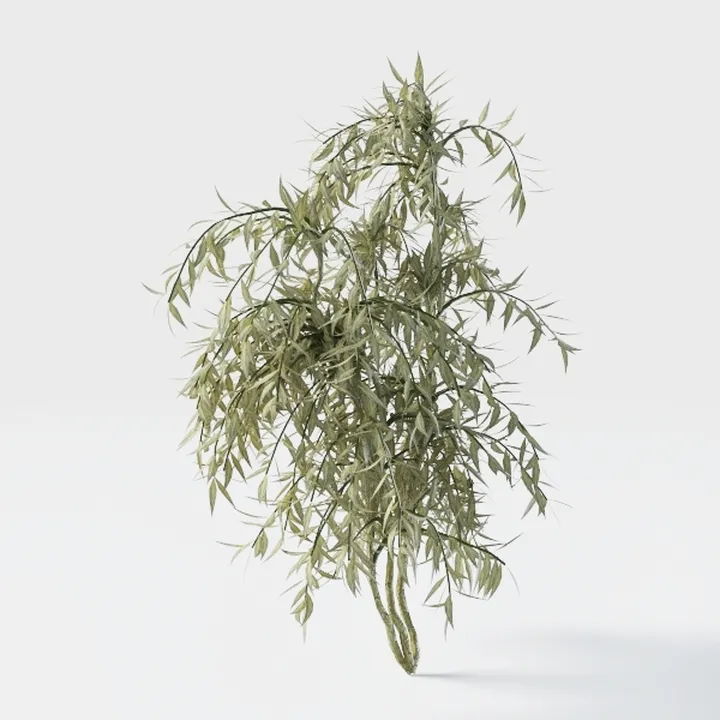Artificial Fake Olive Tree 5FT Tall 2Pack with