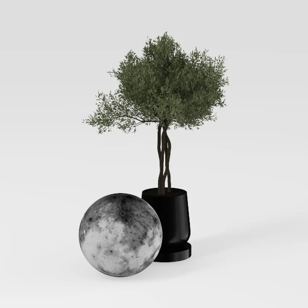 Ceramic Flower Vase Home Decor - 7.1 Inch White