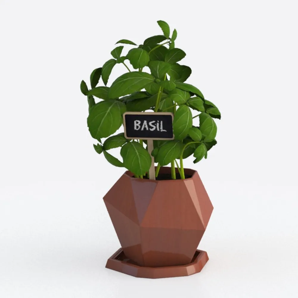 Costa Farms Red Chinese Evergreen Live Indoor 