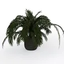 Rattan Woven Potted Palm Floor Plant Decor 3D Model Right 45 Degree View