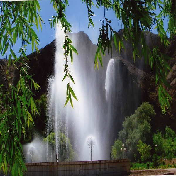 Wall-to-wall Carpet 66