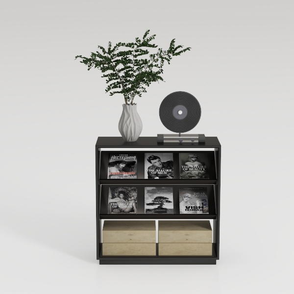 Nov Trending Search Model-Bookshelf 66