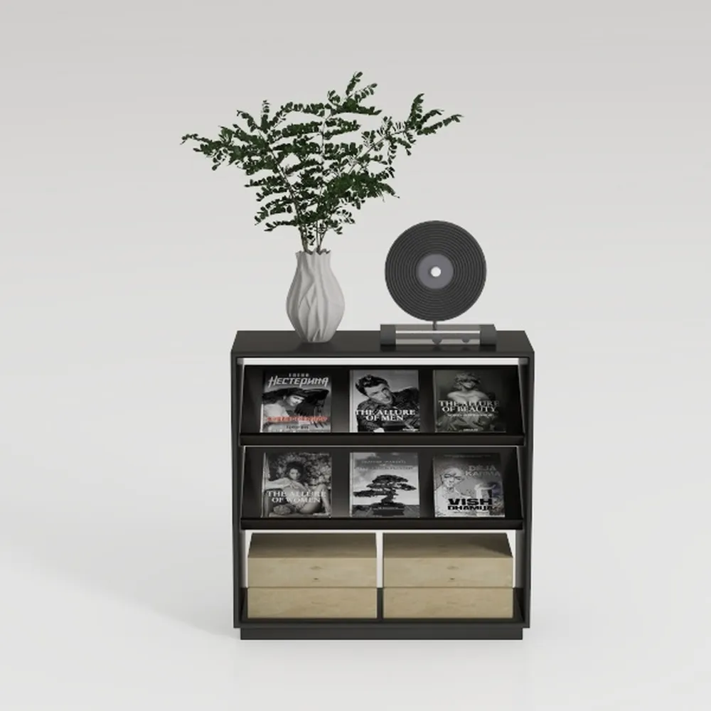 Nov Trending Search Model-Bookshelf 66