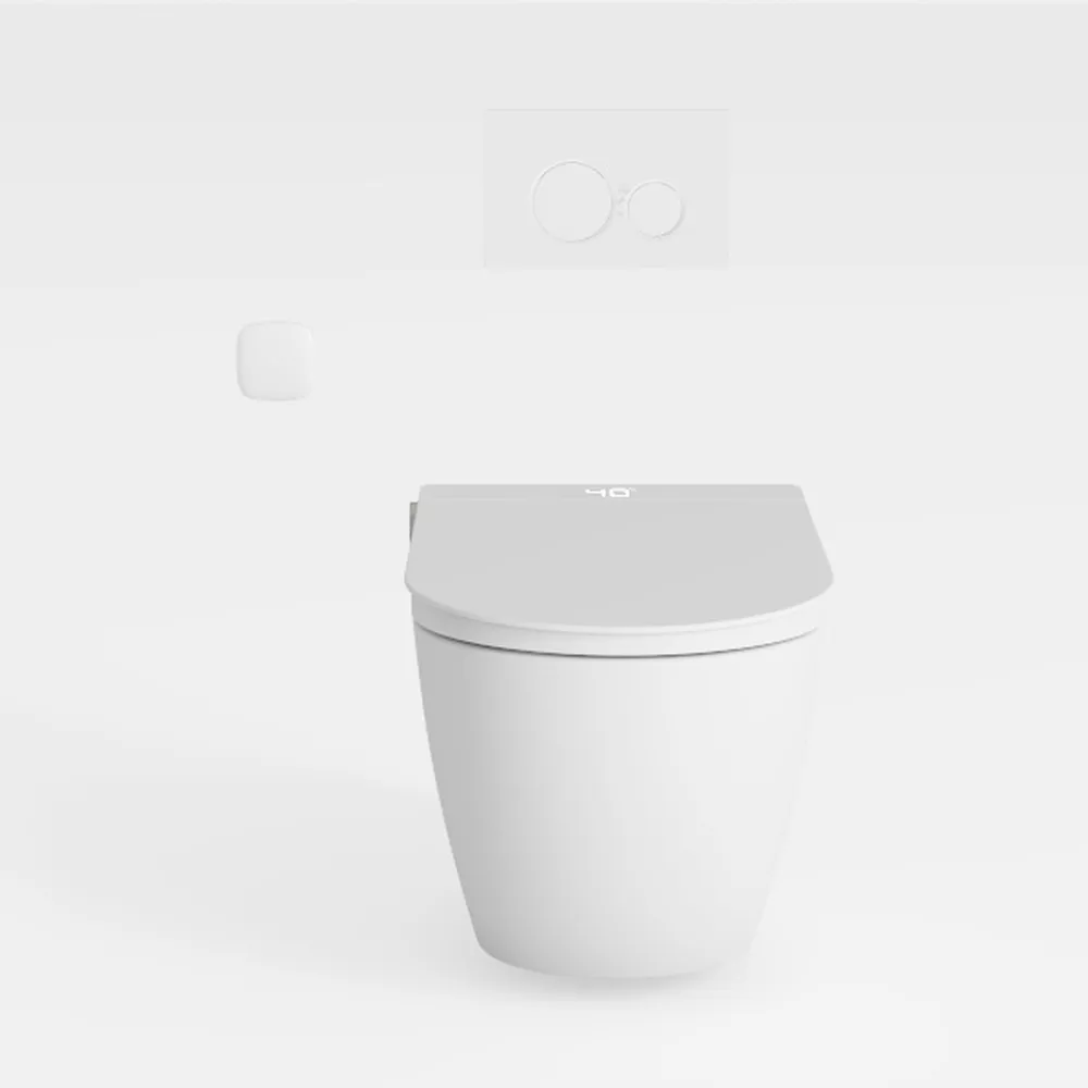 homary Smart Toilet with Built-In Bidet, Smart