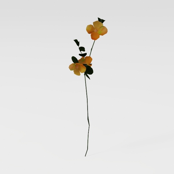 flower-Fluttering Blooms