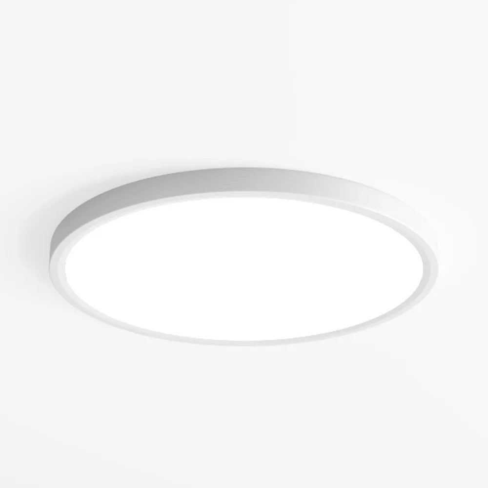 14 Inch Flush Mount LED Ceiling Light Fixture
