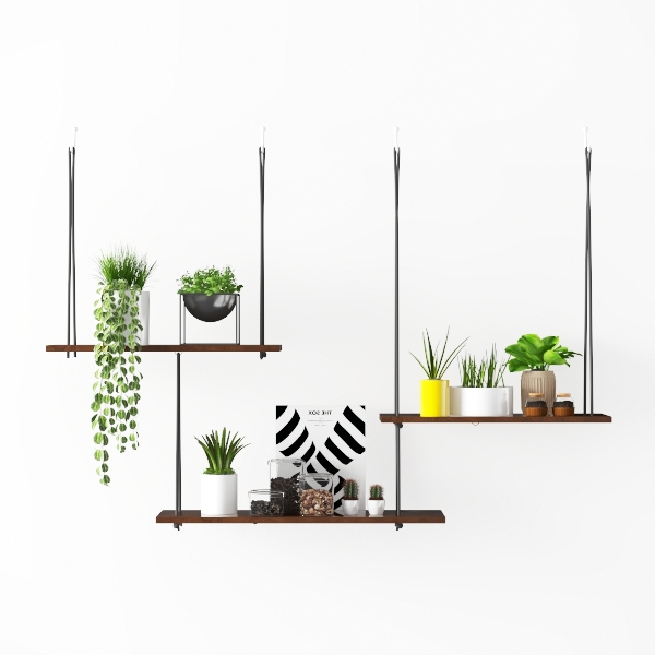 hanging plants-Hanging Greens