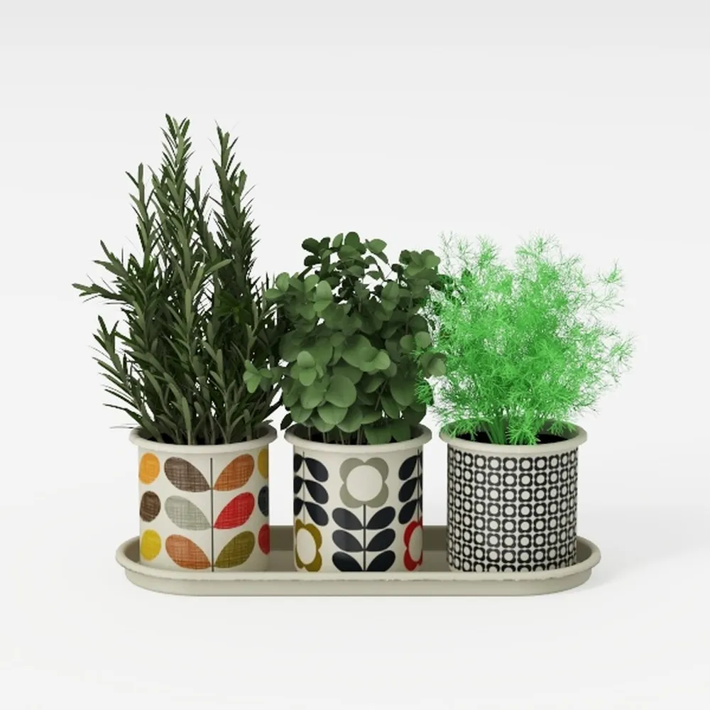 Costa Farms Live Plants (3 Pack), Easy to Grow