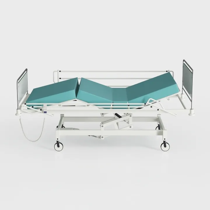 Point A (PAM-3) Premium Full Electric Hospital Bed