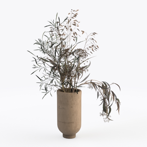 plant-Modern Farmhouse