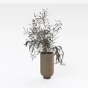 plant-Modern Farmhouse Right 45 Degree View