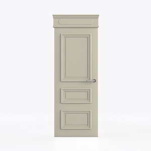 Ceiling-height Door 19