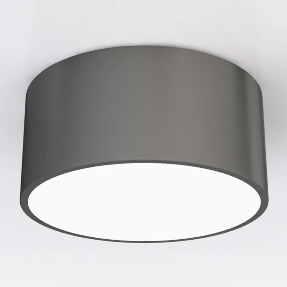 Passage Lights Mounted Downlight Simple LED