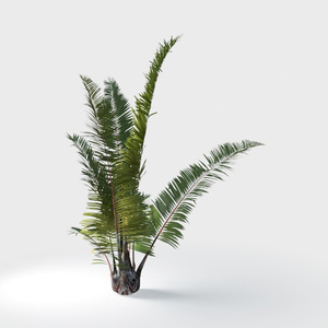 Open-air Cafe-plants 21.max