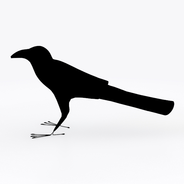 black bird-Halloween