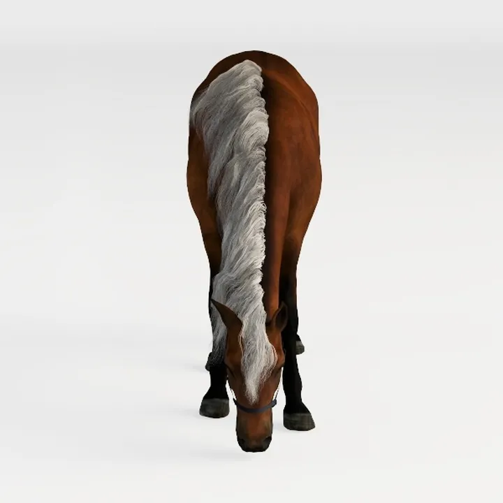horse-Wild Kingdom