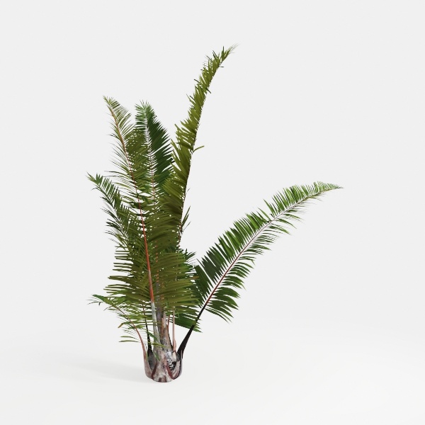 Large Artificial Ferns for Outdoor 51&quot; Fake Boston