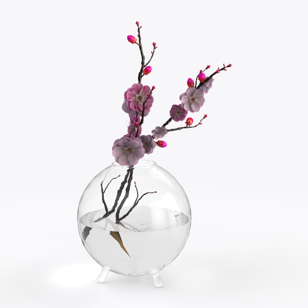 Simple Transparent Glass Wall Flower Pot Creative Semi Circular Vase 8/10/12/13/15cm Plant Container Living Room Decorations