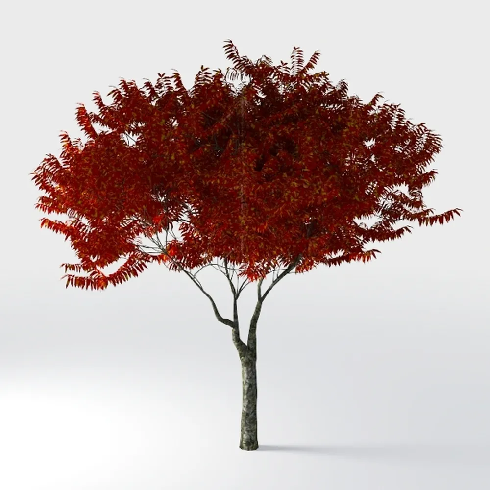 Outdoor Plants Red Bush - Simulated Green Outdoor 