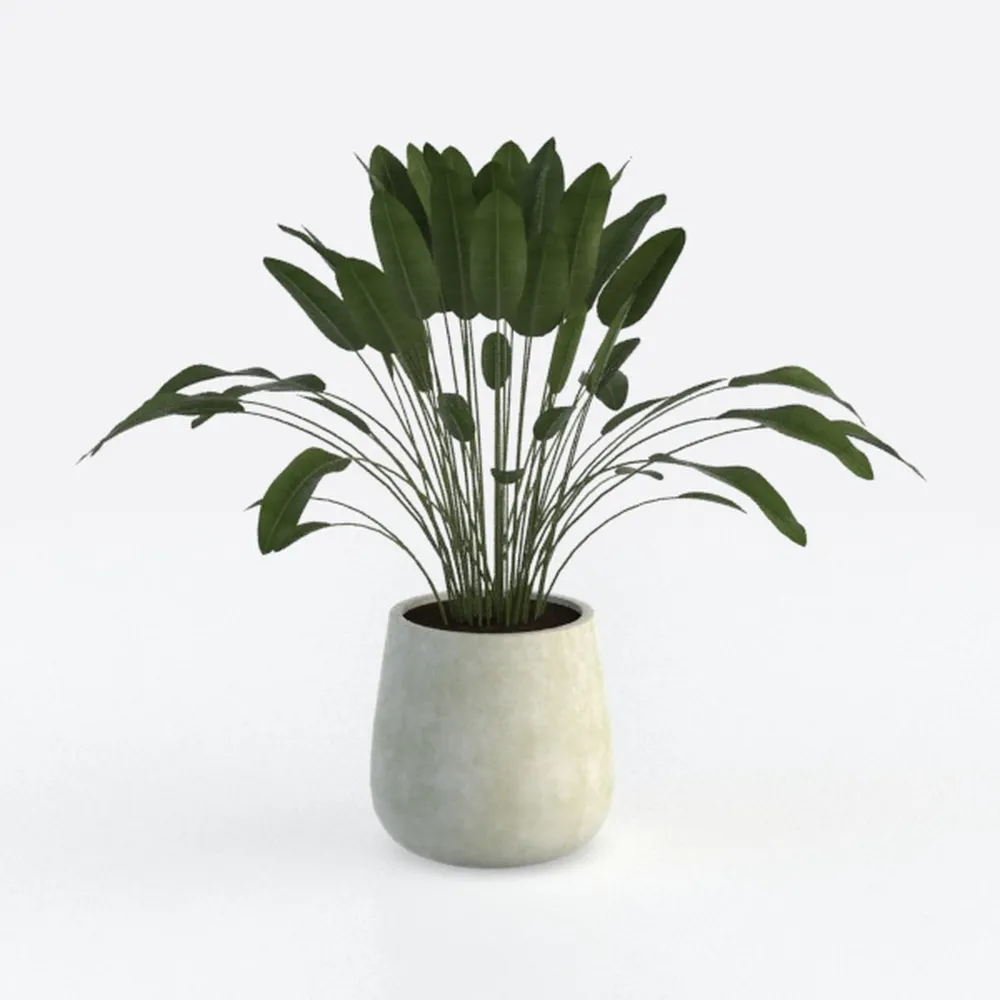 Coitak Artificial Succulent Plants Potted, Assorte