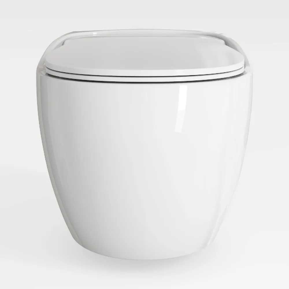 SANIFLO Sanicompact Comfort - Dual-flush System