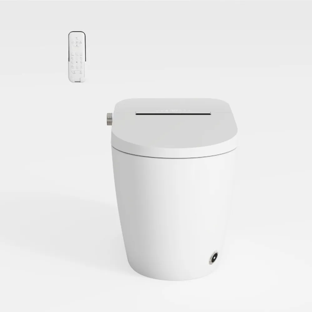 Smart Toilet With Built-in Bidet, Elongated Bidet