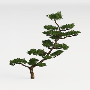 Natural Wood Green Decorative Bonsai Tree 3D Model