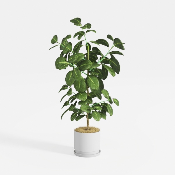 10 PCS 18 Inch Olive Tree Branches Greenery