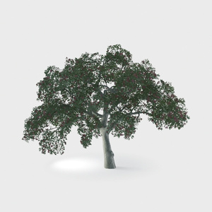 Open-air Cafe-plants 5.max