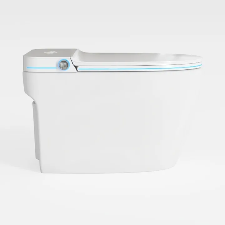 Smart Toilet with Bidet Built In- Automatic
