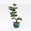 Amazon Basics Artificial Fake Bamboo Plant with Right 45 Degree View