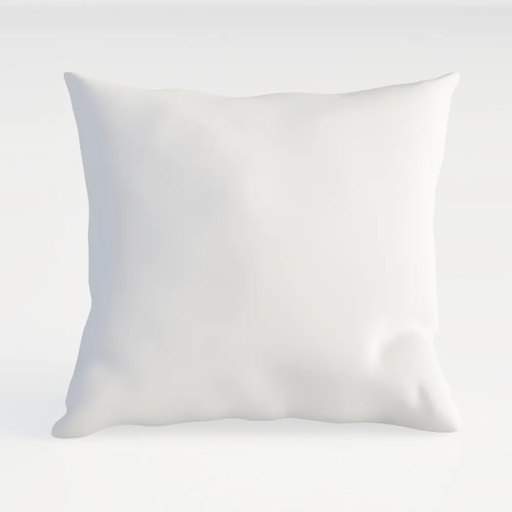 ACCENTHOME 18x18 Pillow Inserts