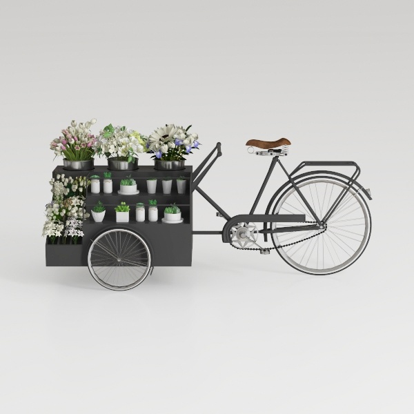 bicycle flower stand-Provençal Dreams