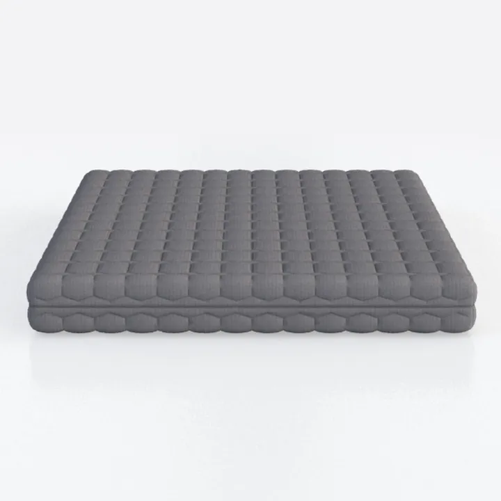 Trule 6 in. Bonnell Coil Futon Mattress, Polyester