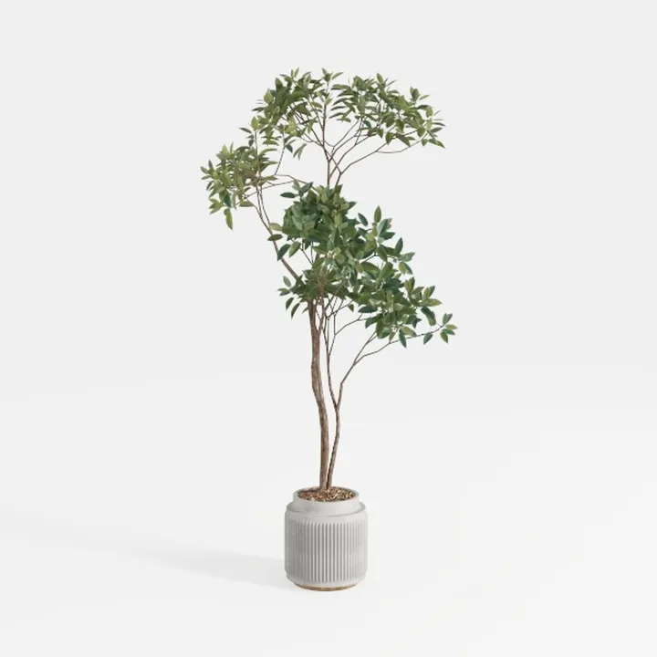 Olive Trees Artificial Indoor, 5FT Tall Faux Olive