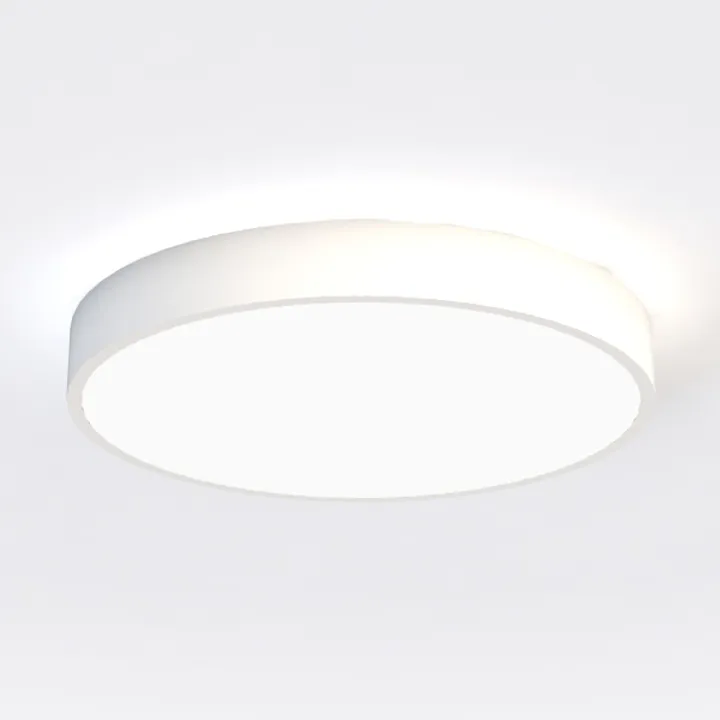 Ceiling light-7424