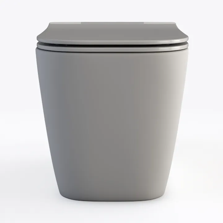 Smart Toilet,Tankless Toilets Dynamic Clean with
