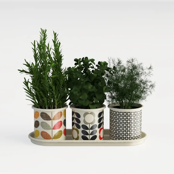 plant-Coffee Break