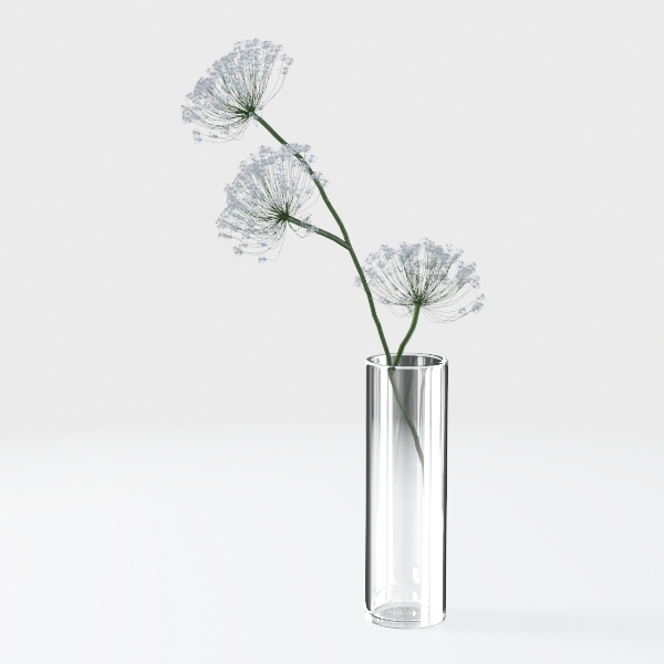 plant-Fluttering Blooms